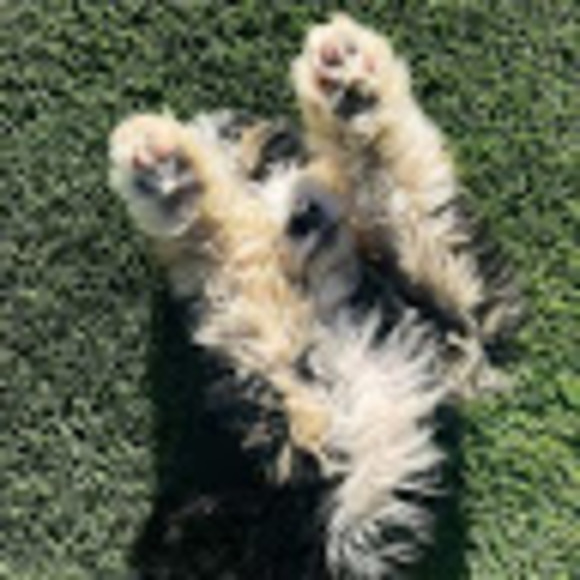 Meet your Posher, Lidia - Picture 1 of 1